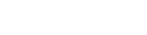 The Blog